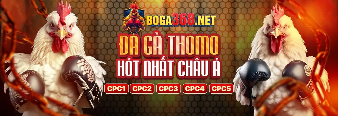 Đa dạng các môn thể thao có sẵn tại bet20
